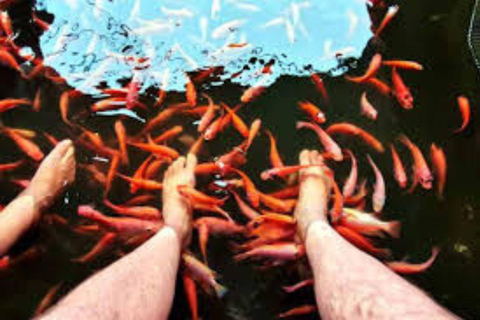 Bentota/Beruwala: Galle Fort, Koggala Lake & Kayaking Tour