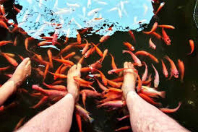 Bentota/Beruwala: Galle Fort, Koggala Lake & Kayaking Tour