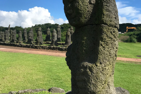 Île de Jeju : Visite guidée en van avec un guide qui aime le plus JEJU