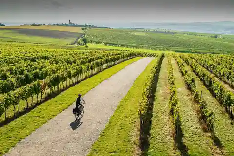 A partir de Brno: Excursão de bicicleta elétrica pela Toscana Morávia com degustação de vinhos