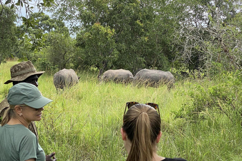 UGANDA SANCTUARY SOJURN: Beleef de reis van de natuurbescherming