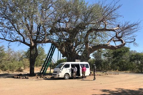 Livingstone: Zambezi Drift + Lunch + Baobab + Croc Farm