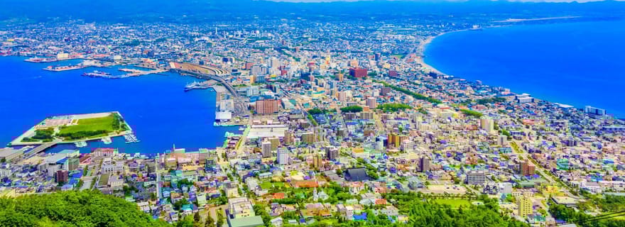 Hakodate : visite avec prise en charge au port, guide agréé et véhicule