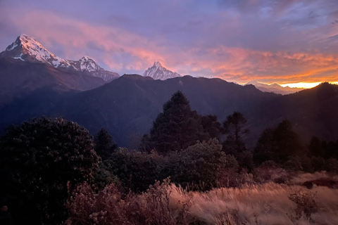 3-dniowy trekking Poon Hill i Ghorapani