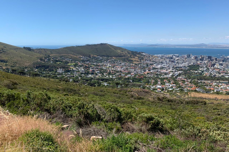 Cape Town: Table Mountain Aerial Cableway Ticket