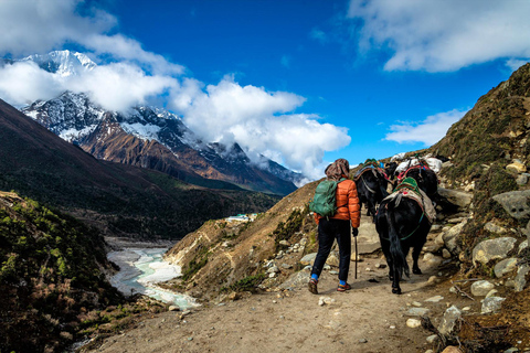 Excursión al Campo Base del Everest desde Lukla