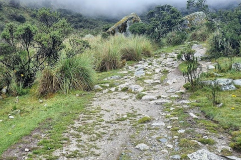 Huaraz: Full Day Lagoon 69 + Llanganuco Lagoon