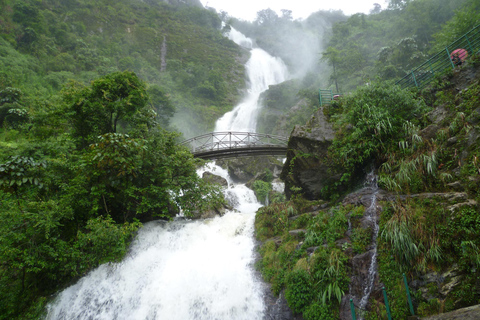Chauffeured Ride to Silver and Love Waterfall, Lonely Tree