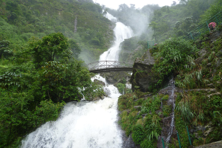 Chauffeured Ride to Silver and Love Waterfall, Lonely Tree