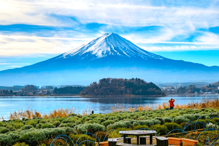 2 giorni di Tokyo, escursione sul Monte Fuji Tour privato guidato