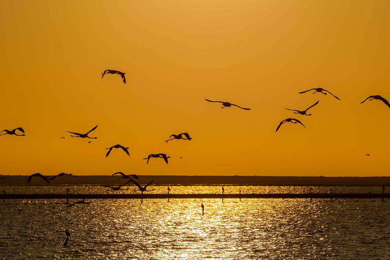 Swakopmund Sunset Magic – Desert Glow, Ocean Dreams