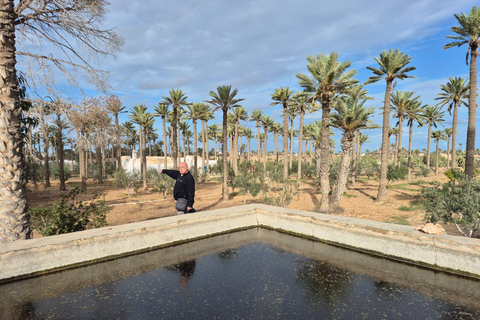 Authentic Djerba: Underground Oil Mill, Palm Grove, Pottery & Mosque