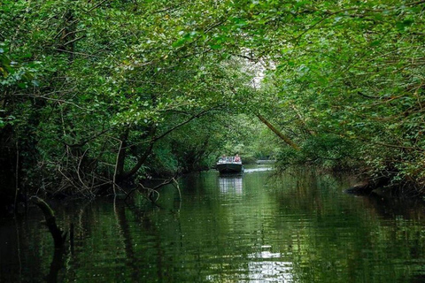 From Batumi: Georgian Amazon & Kolkheti Park Tour