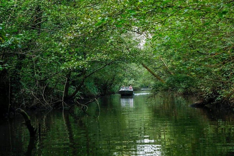 From Batumi: Georgian Amazon & Kolkheti Park Tour