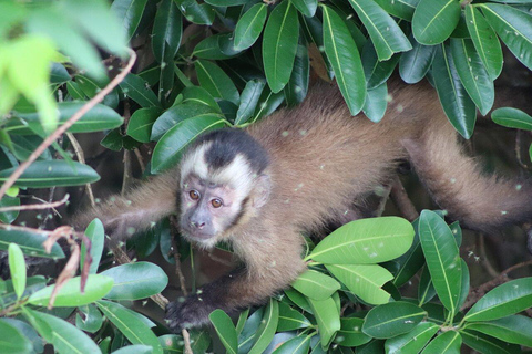 Puerto Maldonado: 4 dias de aventura na selva amazónica