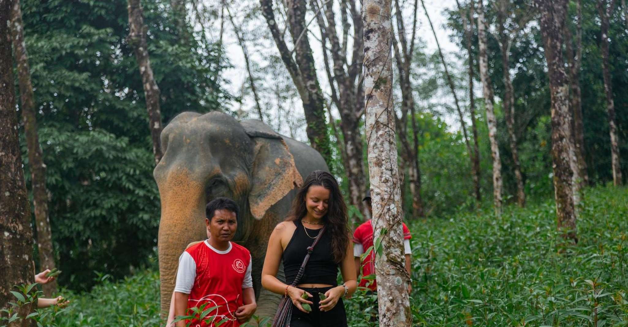 Khao Lak, 2 ore Elephant Sanctuary Eco-Walk con guida - Hizvo