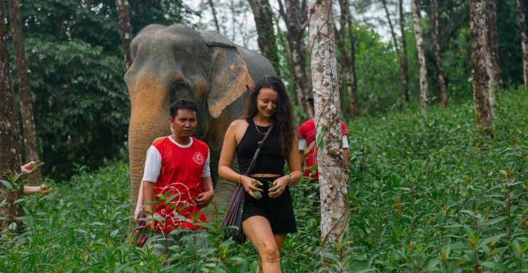 Khao Lak: 2-Hour Elephant Sanctuary Eco-Walk with Guided