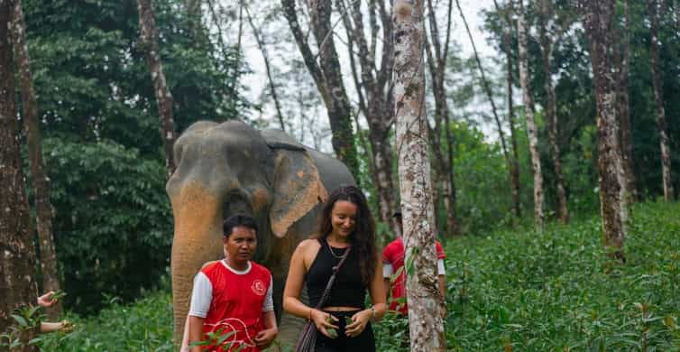 Khao Lak: 2-Hour Elephant Sanctuary Eco-Walk with Guided