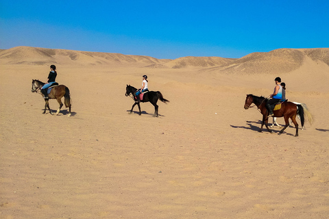El Gouna : Randonnée à cheval dans le désert et la mer avec baignade en option1 heure de quad + 1 heure d&#039;équitation — Combo double aventure