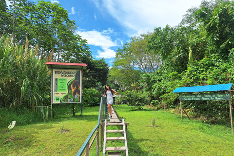 Iquitos: Monkey Island with Lunch and Hotel Pickup Iquitos: Monkey Island Tour with Lunch and Hotel Pickup