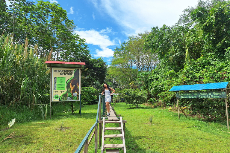 Iquitos: La Isla de los Monos con almuerzo y recogida en el hotelIquitos: Excursión a la Isla de los Monos con almuerzo y recogida en el hotel
