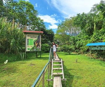 Iquitos: Monkey Island con pranzo e prelievo dall'albergo