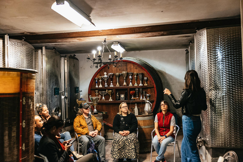 Från Lyon: Vinresa med provsmakning i Beaujolais-regionenFrån Lyon: Vinresa till Beaujolais-regionen med provsmakningar