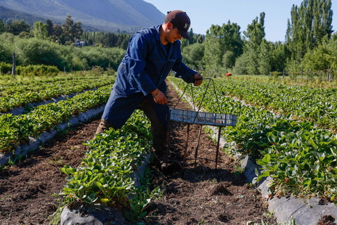 Bariloche: Andean Region Tour to El Bolsón & Lago Puelo