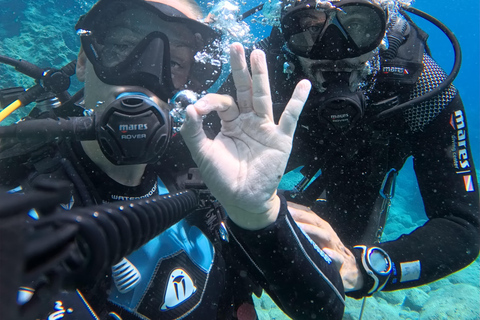 Discover Scuba Diving in Zakynthos – Beginner Experience