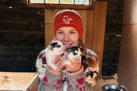Nordkjosbotn: Dog Sledding and Puppy Visit from Tromsø