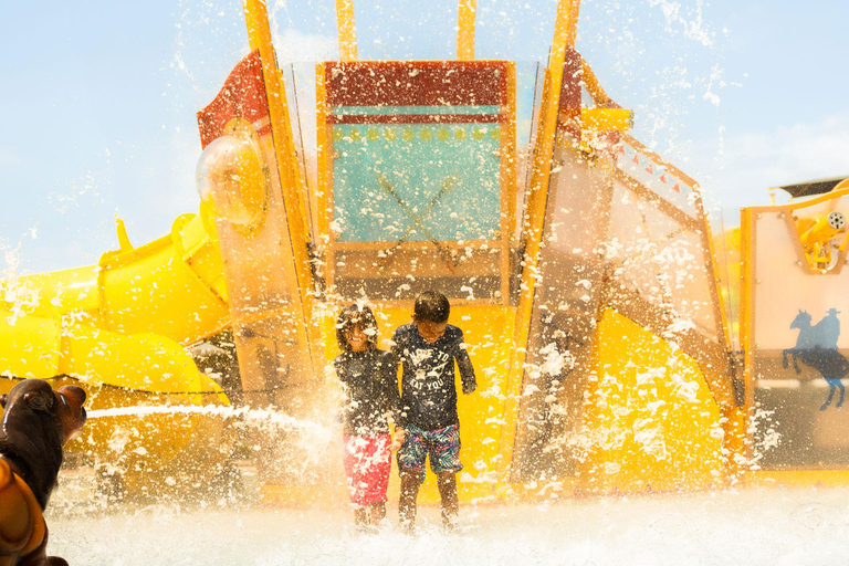 Pase de un día para el parque acuático River Country