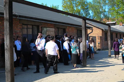Desde Cracovia: Auschwitz-Birkenau Tour guiado y opciones de recogida