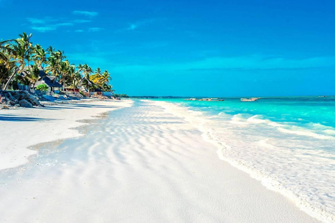 Zanzibar: Nungwi Horseback Ride and Sunset Dhow Cruise unforgetable experience