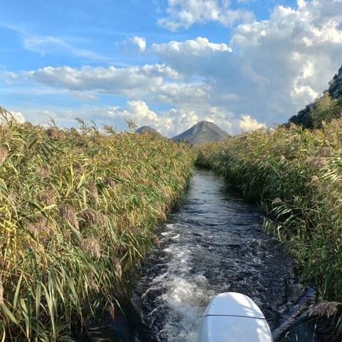 Skadarmeer: 2 uur durende schilderachtige boottocht vanuit Virpazar