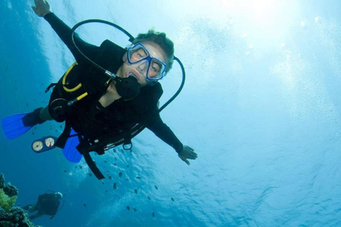 Diving Tour Exploring Alexandria's Underwater Secrets