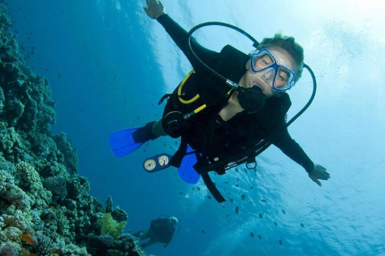 Excursión de buceo para explorar los secretos submarinos de Alejandría