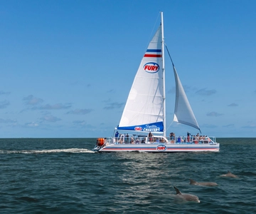 St. Augustine: Dolphin Watching Harbor Tour with Drinks