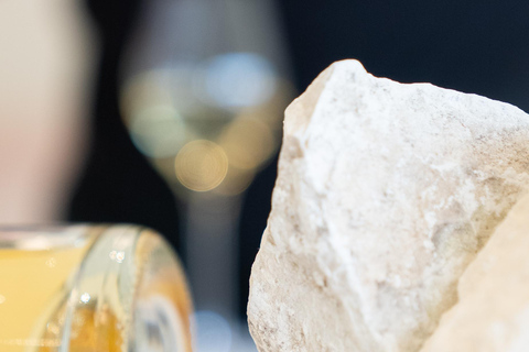 Pierry: Champagne Vincent d'Astrée Blanc de Blancs Workshop Pierry: Champagne Vincent d'Astrée Atelier Blanc de Blancs