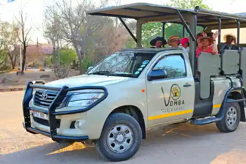 Hazyview: Privat heldags guidad Kruger-safari