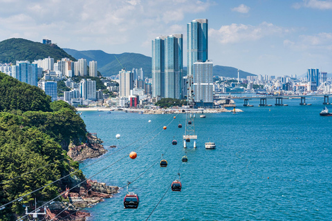 Busan Untold: War History, Hillside Villages & Songdo Cable Shared Group Tour, Depart from Busan Subway Station Exit 3
