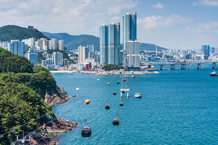 Busan Untold: War History, Hillside Villages & Songdo Cable Shared Group Tour, Depart from Busan Subway Station Exit 3