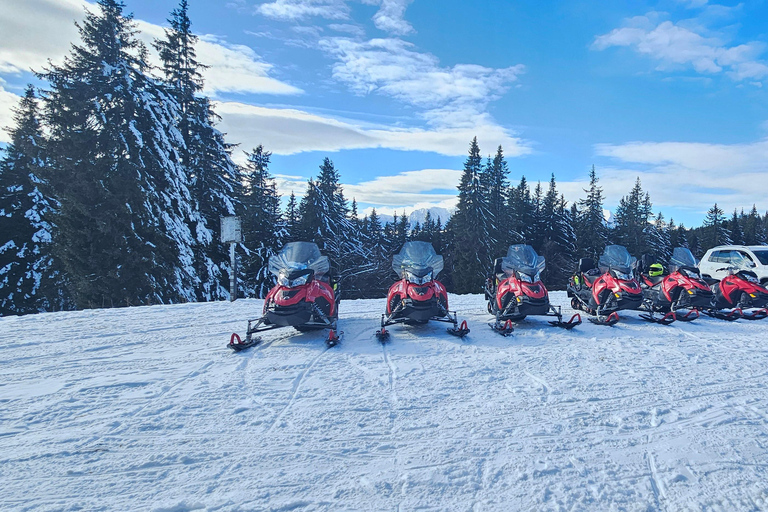 ATV or Snowmobile Mountain Tour from Bucharest