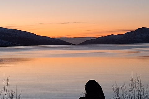 Tromsø: Scenic Fjords & Islands Roadtrip with guide & snacks Tromsø: Scenic Fjords & Islands Roadtrip 6 hours