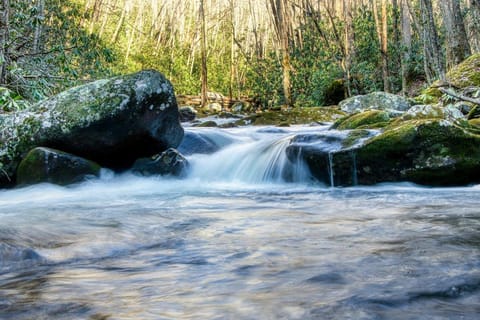 Shanghai: Anji Bamboo Stream & Clear Pools Private Day Trip
