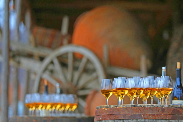 Kachetien Wein Tour - Entdecke die Kunst der Kvevri Weinherstellung