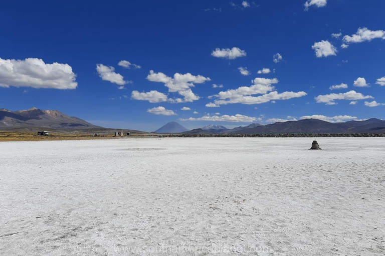 Arequipa: Tour della laguna di Salinas