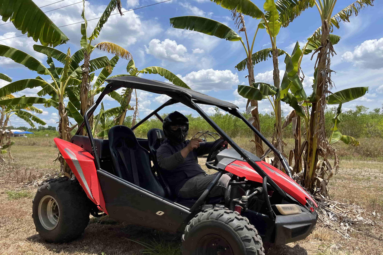 Bamboo Dune Buggy Tour