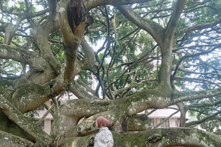 Kandy: Full-Day Tuk-Tuk Tour with Temples & Gardens by Local