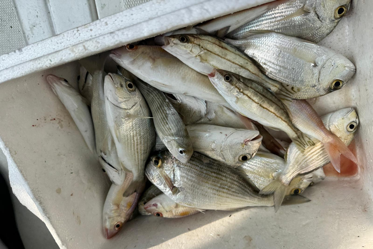 Doha: All Inclusive Guided Fishing Trip Doha: All Inclusive Guided Fishing Trip (1 to 7 people)