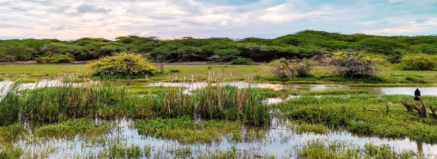 Safari privé dans le parc national de Bundala au départ de Tangalle